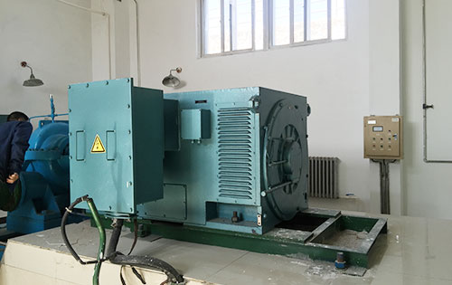 望谟某水电站工程主水泵使用我公司高压电机